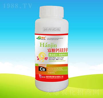 �����}�V�\���w��-�n��ʘI(y��)