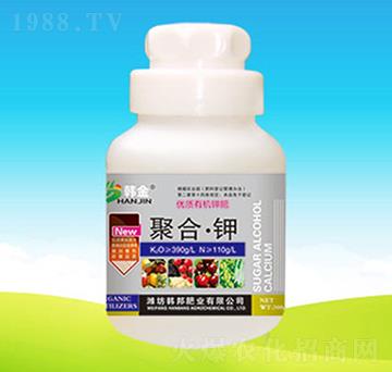 ��(y��u)�|(zh��)�ЙC(j��)⛷�-�ۺϡ��-�n��ʘI(y��)