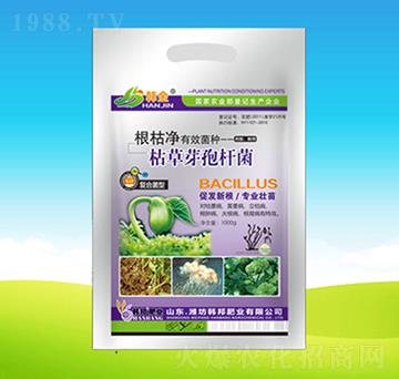 �ݲ�ѿ�ߗU�������b��-���݃�-�n��ʘI(y��)