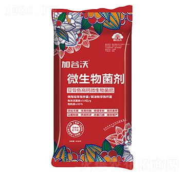 �����~���}΢�������-�ӹ���