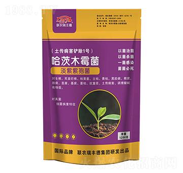 ����ľù��-���S��