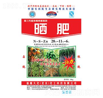 ���ጣ�Õ��28-11-6-������