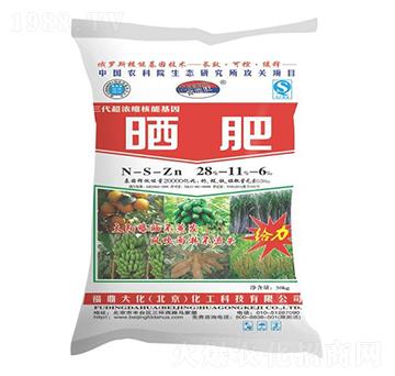 ����28-11-6-������