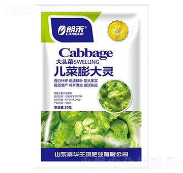 ���^�˃�������`-���A����