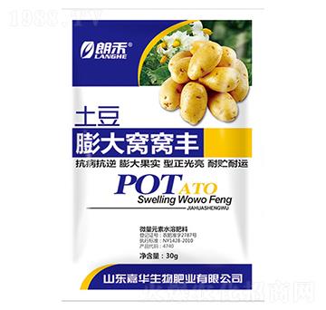 ʿ�����C�C�S-���A����