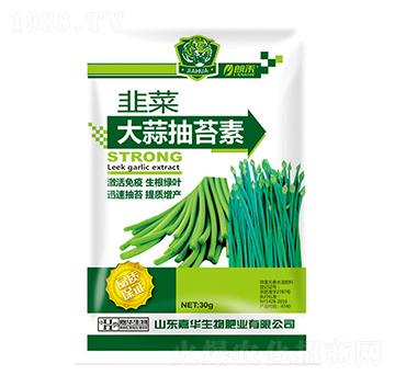 �²˴����̦��-���A����