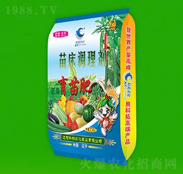 �紲�{�턩-�����-��