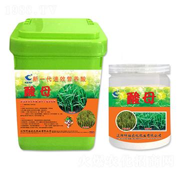 ��һ����Ч�I�B(y��ng)��-��ĸ-�����r��