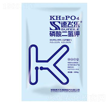 ��������-���w��(l��)-���A����