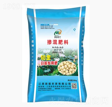 ��ɏ���Ó������22-7-21-�F������