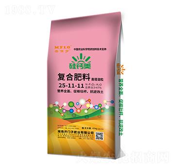 ���}����(f��)�Ϸ���25-11-11-�����_-�_�T��