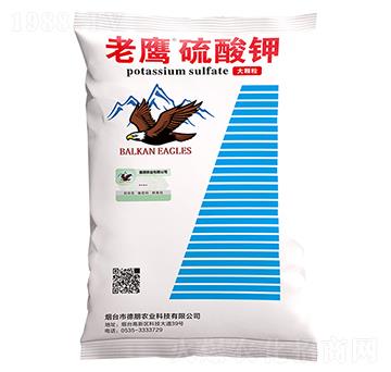 ���������-�����r�I(y��)