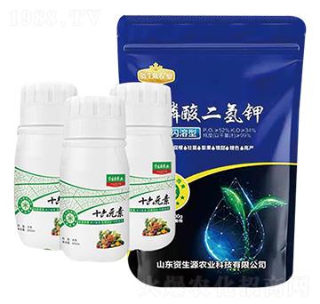 ʮ��Ԫ��+��������-�Y��Դ�r�I(y��)