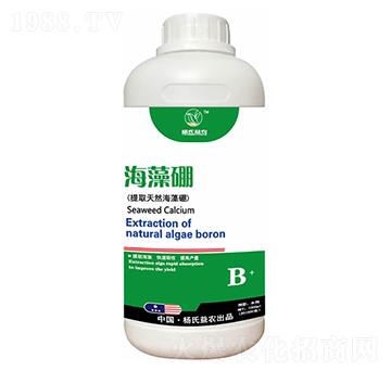 ������-���r(n��ng)�r(n��ng)�I(y��)