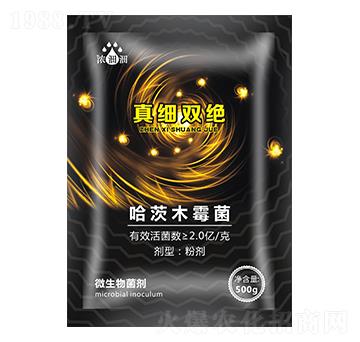 �漚(x��)�p�^��΢���������-��p�p-�������