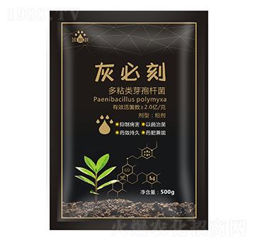 �ұؿ̣�΢���������-��p�p-�������