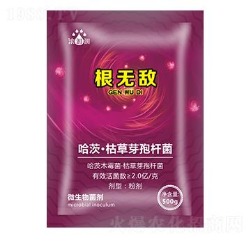 ΢�������-��p�p-�������