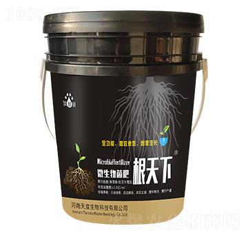 �����£�΢������ʣ�-��p�p-�������