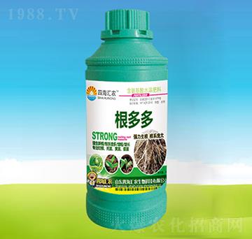 �����-�ĺ��R�r(n��ng)