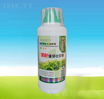 500g���~��ѿ��ѿ��-�ĺ��R�r(n��ng)