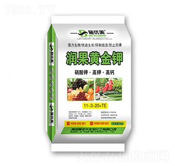 ����⛡���⛡����}11