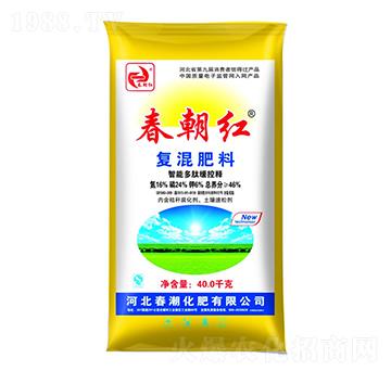 �ͻ����16-24-6-�����t