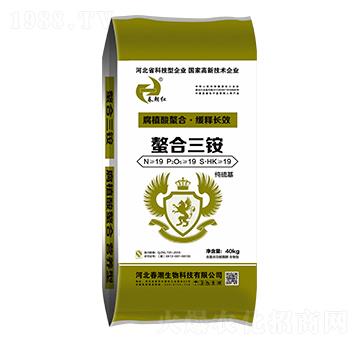 �������@19-19-19-�����t