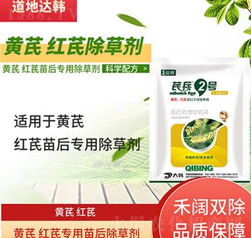 �S�μt�γ��݄�-�S�μt�����-�S�μt�Ό���-���n