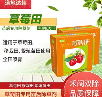 ��ݮ���݄�-��ݮ���-��ݮ����-���n