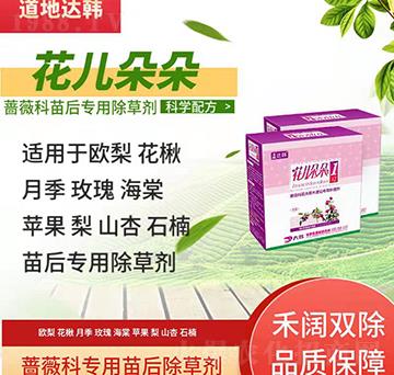 �Nޱ�Ƴ��݄�-�Nޱ����