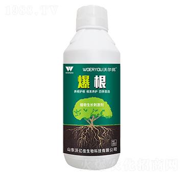 ֲ�����L�̼���-����-�֠���(y��u)