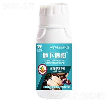 ɏźݩ�j����-��������-�֠���(y��u)