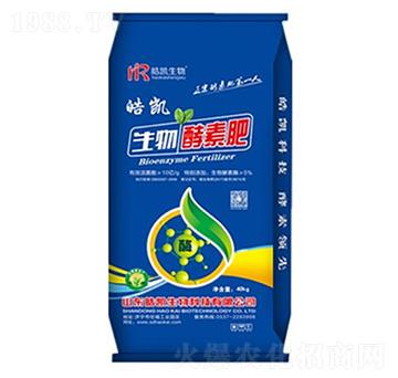 ������ط�-�P����