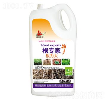 ����(zhu��n)��-������-�h(yu��n)�|����