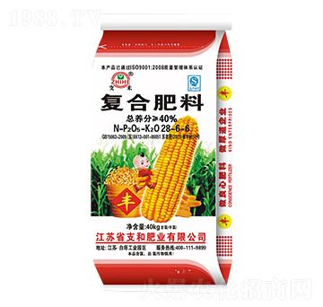 ��(f��)�Ϸ���28-6-6-֧�ͷʘI(y��)