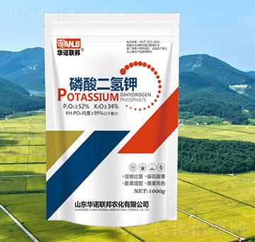 1000g��������-�A�Z(li��n)��