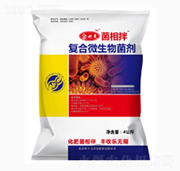 �����ͺ�΢�������-�ڼZ