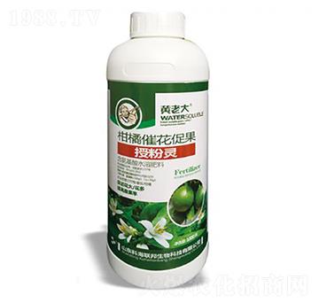 1000g���ٴ߻��ٹ�