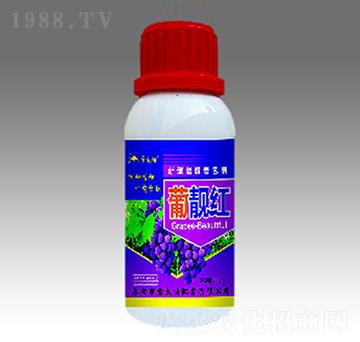 ���n�t-��̫�(y��ng)�ʘI(y��)