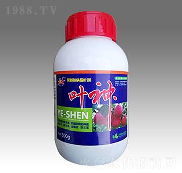 �~��-��̫ꖷʘI(y��)