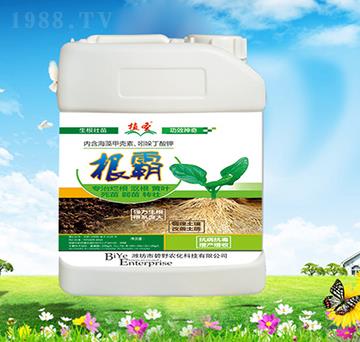 ����-ֲʥ-��Ұ�r��