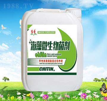 ����΢�������-ֲʥ-��Ұ�r��