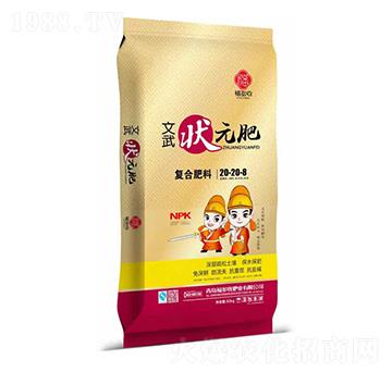 ��(f��)�Ϸ���20-20-8-�����Ԫ��-���r(n��ng)��ʢ