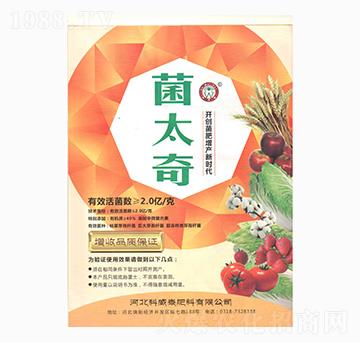 ��̫��-����̩