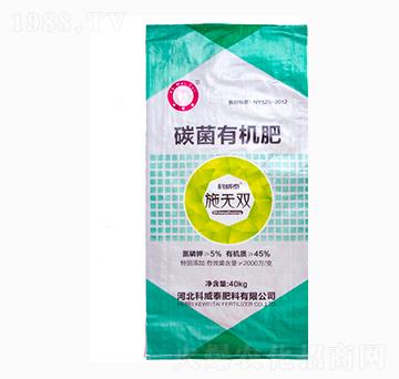 ʩ�o(w��)�p̼���ЙC(j��)��-����̩