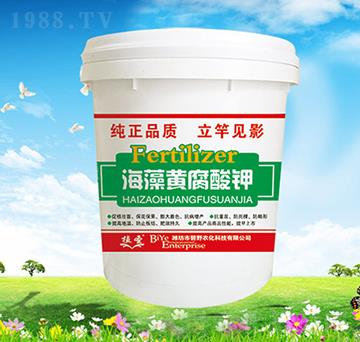 �����S�����-ֲʥ-��Ұ�r(n��ng)��