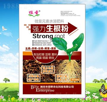 500g������-ֲʥ-��Ұ�r��