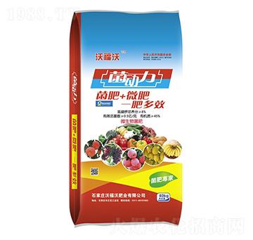 ������-�ָ���