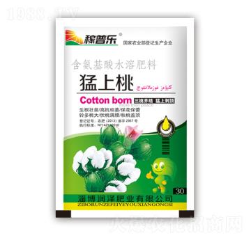 ������-��(r��n)�ɷʘI(y��)