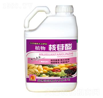 ֲ�������-��(r��n)�ɷʘI(y��)